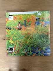 JHENE AIKO Trip SEALED limited edition 2LP Picture Disc RSD – Ships FAST