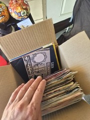 Lot of 50+ vintage DUTCH MUSIC records