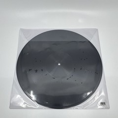The Scotts 12″ Multicolor Vinyl Picture Disc Record w/ Plastic Slipcover