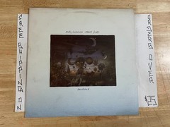 ANDY SUMMERS ROBERT FRIPP BEWITCHED 1984 1ST PRESS PROMO LP ART ROCK SYNTH POP