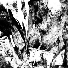 Other Half – Soft Action (LP, Album, Pin) (Near Mint (NM or M-)) – 4259753109