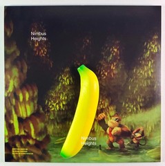 Donkey Kong Country Game Boy Color Vinyl Record VGM OST *INCLUDES BANANA!* New