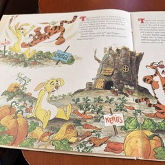Walt Disney Presents Winnie the Pooh and Tigger Too LP Record 1974 Disneyland