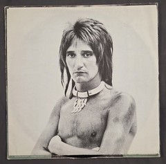 Rod Stewart A Night On The Town Vinyl LP Record 1976 Warner Bros. BS 2938