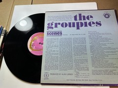 The Groupies LP Vinyl Record Unknown Artist Earth ELPS 1000