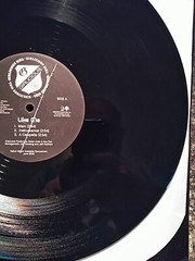 GIRLICIOUS GIRL LIKE ME/STUPID SHIT 12″ 2008 PUSSYCAT DOLLS PROMO GEFR-12418…