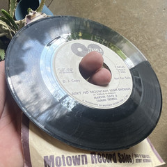 Tamla T 54149 7″ Black Vinyl Promo Single – Marvin Gaye & Tammi Terrell