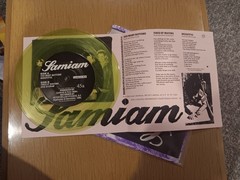 Samiam 1989 I Am Lookout Records LP Vinyl Record #24 Plastic Slipcover