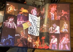 The Professionals Live in Berkeley, California 1982 Sex Pistols