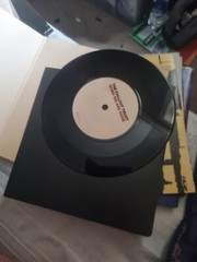 The Fallout Trust ‎– When We Are Gone 7″ Limited Edition Vinyl NM 1/2