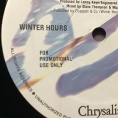 WINTER HOURS 1989 SELF-TITLED PROMO LP CHRYSALIS PRINT VINTAGE VINYL