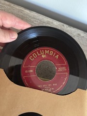 Vintage 45 RPM Record Lot In Album Country Rock Pop RCA Decca Columbia Mixed