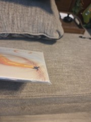 Thirteenth Step by Perfect Circle (Record, 2003) 1st Pressing Mint New Unopened!