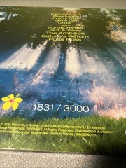 Zara Larsson – Midnight Sun Flare Yellow- VV Vertigo Exclusive Vinyl LP /3000