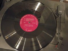The 700 Words You Will Need Most In Italy, Vinyl Lp Tested Harian Publications