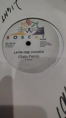 Latin One – Chooch gato Perro Disco High Energy Italo Electro Polymarchs G+