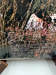Black Sabbath – Self Titled Debut – LP Album Vinyl Vintage WS 1871