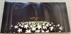 NieR: Rebirth + Despair Cover Album Vinyl Record 2xLP – Dreams Variant VGM
