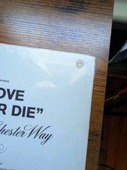 The Music Of Chester Way – Our Love Will Never Die Rare Private Lounge Pop Rock