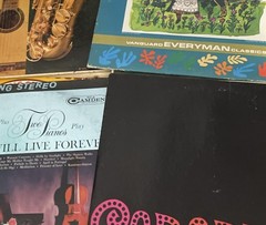 50 Random Vinyl Records LP Lot – Jazz, Classic Rock, Pop, Country, Christmas –