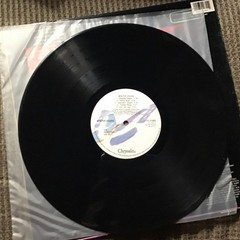 WINTER HOURS 1989 SELF-TITLED PROMO LP CHRYSALIS PRINT VINTAGE VINYL