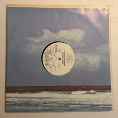 Johnny Winter~Nothin’ But The Blues~White Label Promo With Printed Inner Sleeve