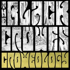 The Black Crowes – Croweology [New Vinyl LP]