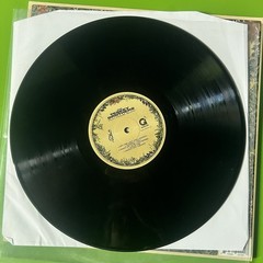 The Teskey Brothers ‎– Run Home Slow LP Blues Rock Vinyl 2019 Glassnote Bros US