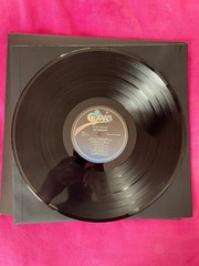 Alice Cooper Hey Stoopid Vinyl Album!
