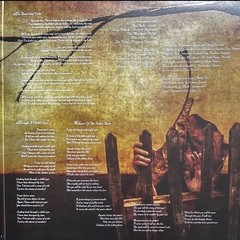 Novembers Doom – The Pale Haunt Departure | Limited – Gold / Oxblood Marble
