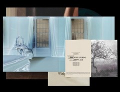 Charli XCX Wuthering Heights Collector’s Edition Vinyl Hand Numbered
