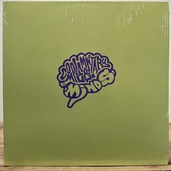 Complementary Minds – Volume 2 (Vinyl LP – 2025 – Original) New Sealed Record