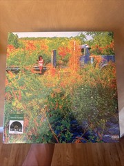 Jhene Aiko Trip 2LP Picture Disc Vinyl RSD Record Store Day 2026 New & Sealed