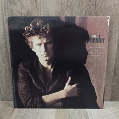 Don Henley Building the Perfect Beast 1984 Geffen Record Vinyl LP Boys Of Summer