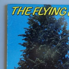 The Flying Burrito Bros. Cabin Fever Vinyl Lp Relix RRLP 2008 1985 1st Press