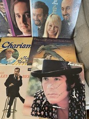 Large Lot of Vintage LP Vinyl Records Assorted Artists, Lot of #20