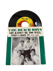 Ultimate Beach Boys 45 RPM Collection. Picture Sleeves and 45s in one place!