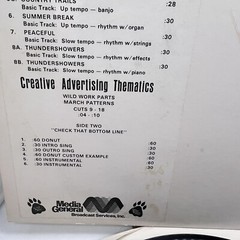 UNKNOWN ARTIST: The Cat – Custom Audio Traxx /Creative Advertising Thematics