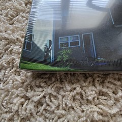 Armor For Sleep What To Do When You Are Dead Transparent Green Vinyl New /500