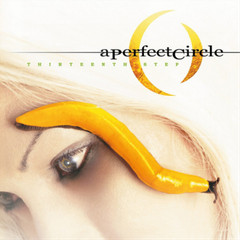A Perfect Circle Thirteenth Step (Vinyl) 12″ Album (Gatefold Cover)