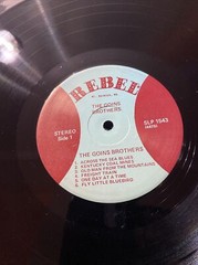 THE GOINS BROTHERS / SELF TITLED REBEL RECORDS VINYL LP 139-40W/ 1975 EX