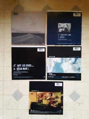 Lot Of 5 1990s PEARL JAM 7″ PICTURE SLEEVES Alt Rock Merkin Ball EDDIE VEDDER