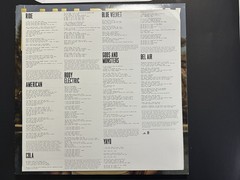 x2 LANA DEL REY LP VINYL Set BORN TO DIE & PARADISE Set Preowned READ