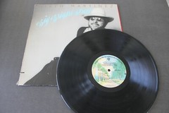 HIRTH MARTINEZ — BIG BRIGHT STREET — WB RECORDS — BS 3031 — RELEASED XXXX