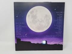 1943 – Sky Shark Vinyl LP Record VGM OST Soundtrack Not Moonshake NESNintendo