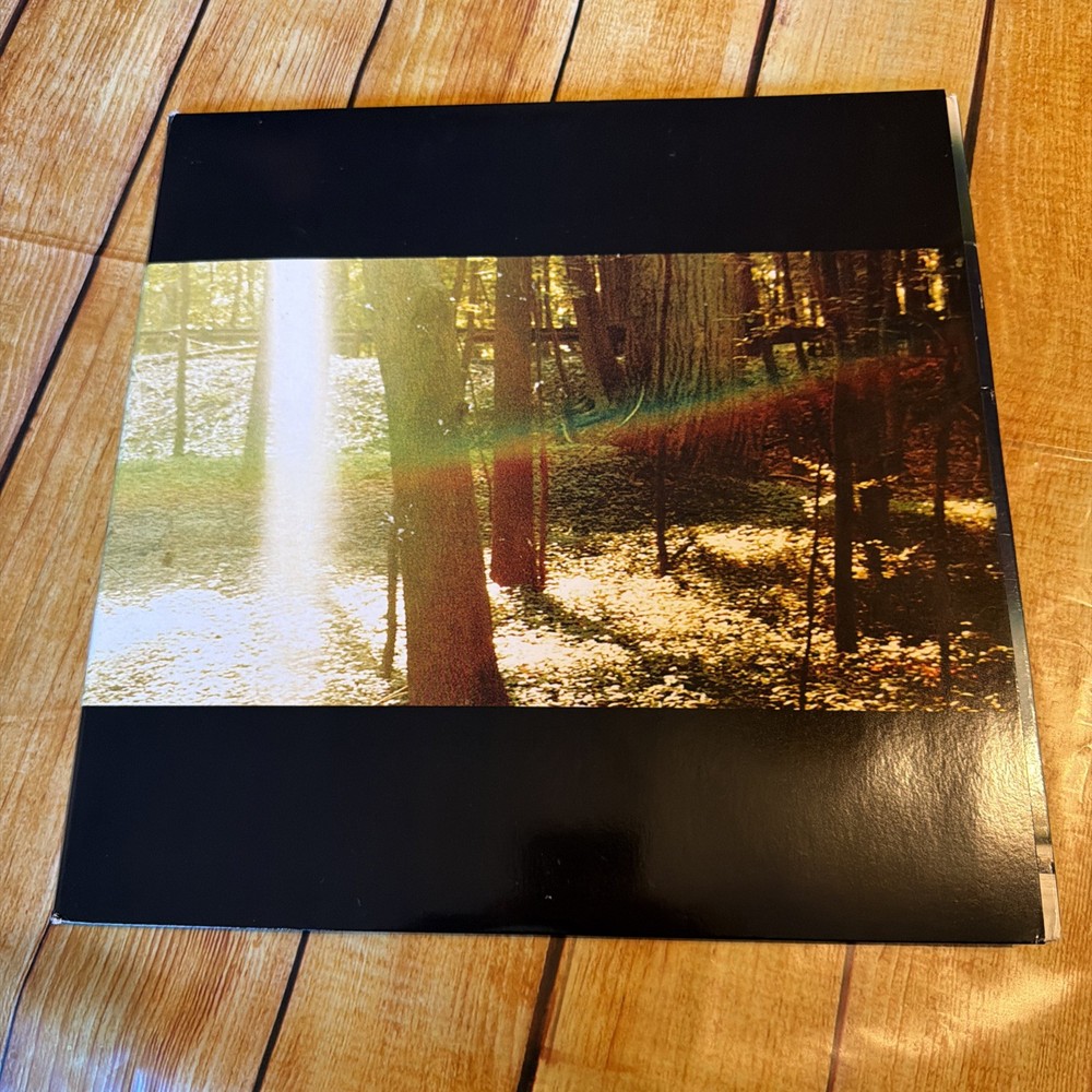 Camp by Childish Gambino (Record, 2011)
