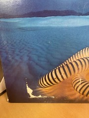 The Edgar Winter Group With Rick Derringer LP Blue Sky PZ 33798 VG+/VG CornerCut