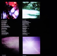 The xx Xx (Vinyl)