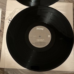 Vintage 1987 Sting Nothing Like The Sun Vinyl 2LP AFM Pop Rock Record Album