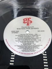 DAVID BENOIT LP Waiting for spring 1989 GRP Records LP